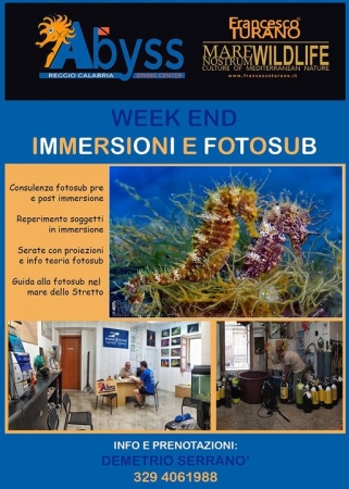 immersioni + Eventi